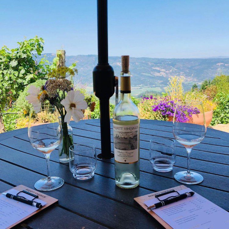 Napa Wine Tours By Joy Napa Wine Tours By Joy